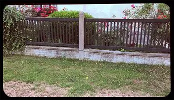 Petra's Wild Encounter: Double the Pleasure with Two Guys