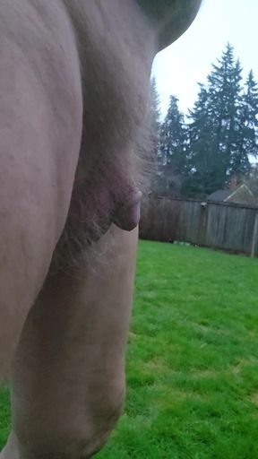 Another Backyard Stroll