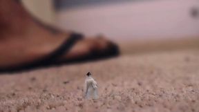 Shrunken Doctor