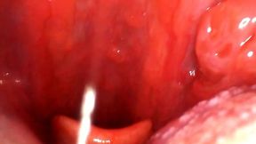 Giantess POV: Watching My Tongue Play With Gummy Bears (Endoscope View)