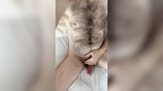 Large Unshaved Dick & Torso