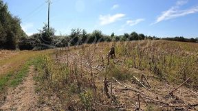 promenade a la campagne