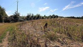 promenade a la campagne