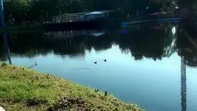 Sexy fellatio in the park bench