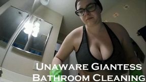 Unaware Giantess Cleaning WMV