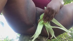 Hot Evangelical From the Countryside with a Big, Greedy Pussy Squirting on the Corn Cob