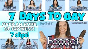 Faggot Finishing School Bundle 7 clips over an hour Compilation of Cocksucker Training School Days 1 through 7 with Goddess Vivien Make Me Bi Gay