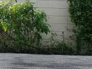 hotel nut outside