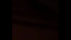 Zorra chilena gritona