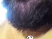 Gay Panda Chub | twitter: atrophybody