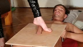 Cock stomping & slapping, bare feet by latex dominatrix pt1