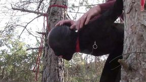 outdoor milf 3 scenes: blowjob, bondage, and creampie