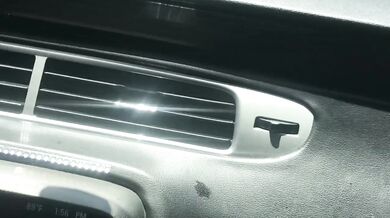 Car sex. Teen girl suck my dick and jerk me off in moody Gardens parking lo