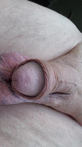 Shaved penis and scrotum