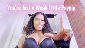 You're Just a Little Paypig