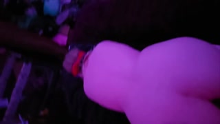 Scottish Kitten loves pet play