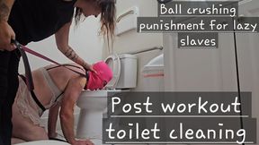 Maid training; Teaching idiots how to clean 101