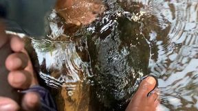 I Live in a Hut in the Jungle, and as I Was Going to the Stream to Bathe, a Strange Man Approached Me