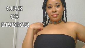 CUCK or DIVORCE!