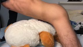 Teddy Orgasm Morning Dirty Talks Solo Cum