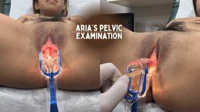 Aria’s Pelvic Exam 4K