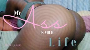 My Ass is Your Life (an ass worship clip)