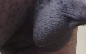 Come See My Hairy Huge Balls