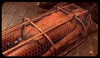 Ebony Beauty Bound & Teased: Intense BDSM Device Bondage Punishment