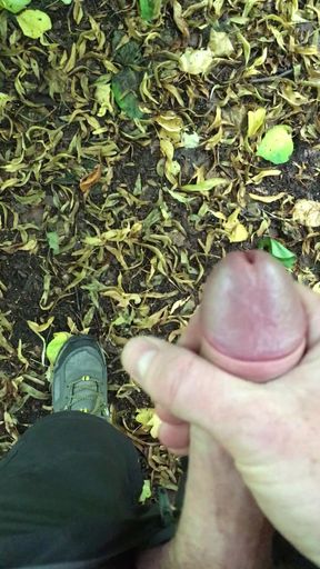 Wanking my hairy cock in the woods and spunking