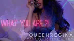what are you?!