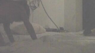Resort Hotel Sex