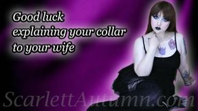 Good luck explaining your collar to your Wife - WMV HD 1080p