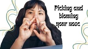 Picking and blowing my nose (In the car)