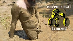 MUD PIG IN HEAT