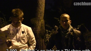 Czech Hunter: Park Nights: More Than Just Beers