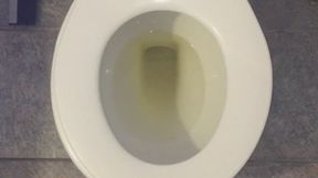 HANNAH MONTANA SIZE PEE IN MY TOILET
