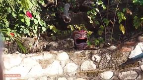 Mexican Meat Under the Sun