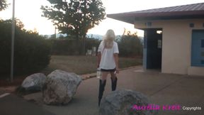 Just a visit to the fruit tree area north of valence on the autproute de grenoble