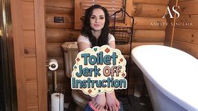 Toilet Jerk Off Instructions HD mp4