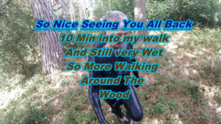 Hamba gay matang British dengan tindikan mengambil dubur luar yang kasar berdebar-debar di khalayak ramai