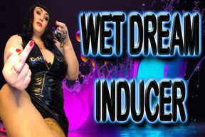 WET DREAM INDUCER