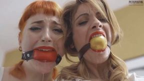 Secretaries Alba and Royal tightly ballgagged and bound, trying to escape