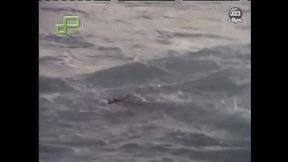 Tereza Raquel - Amante Muito Louca