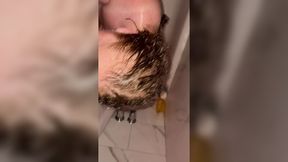 Redhead wife gets hot blowjob in shower&#x1F6BF;
