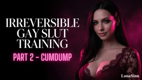 Irreversible gay slut training PART 2 CUMDUMP