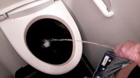 Pissing in plane