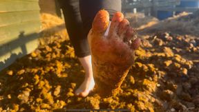 Barefoot in Manure