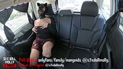 Goth Latina Punk Slut With Big Ass Fucks Herself During Los Angeles Public Uber Ride