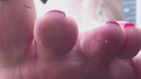 Flip Flop Season