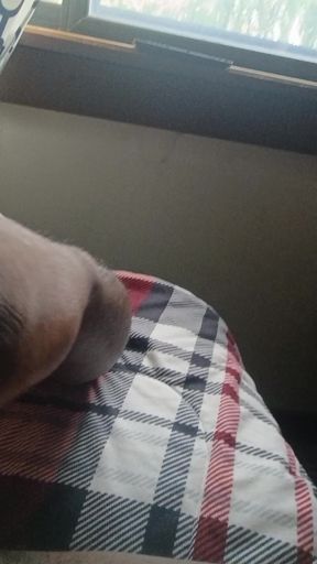 Stroking again